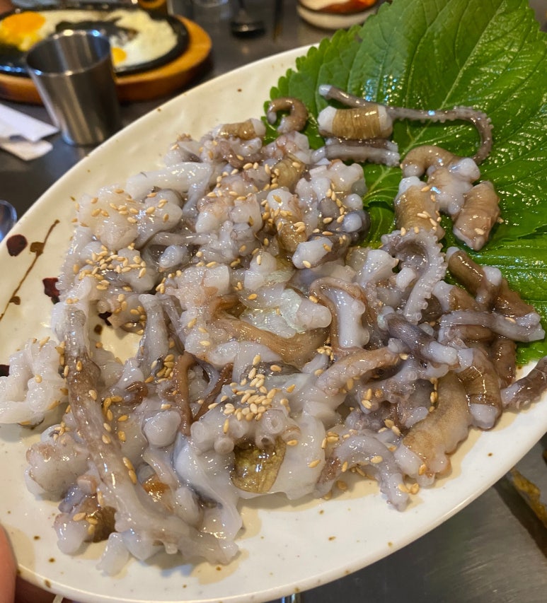 해왕낙지 이미지