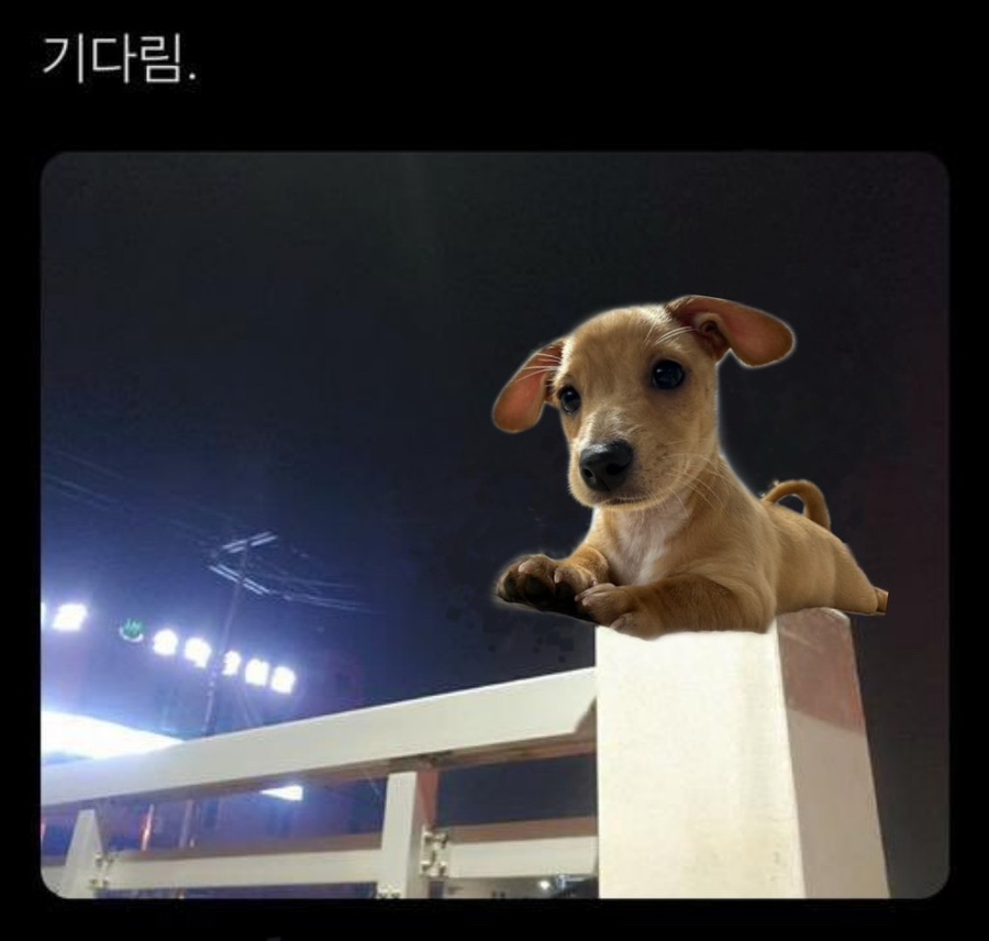 밥푸라 이미지