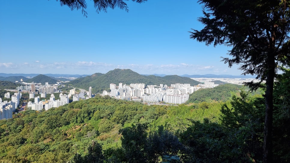 푸른누리 이미지