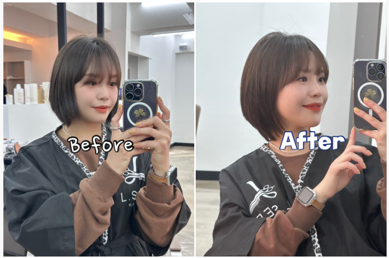 엘시크 이미지