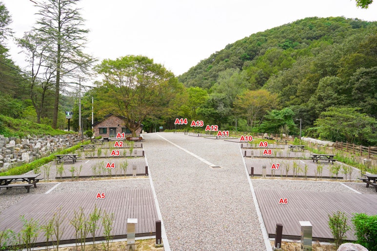 성수산 왕의숲 자연휴양림 이미지