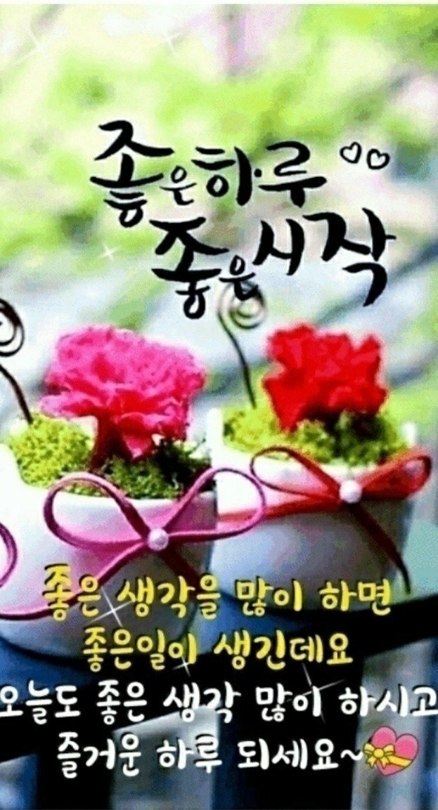 감사향기 이미지