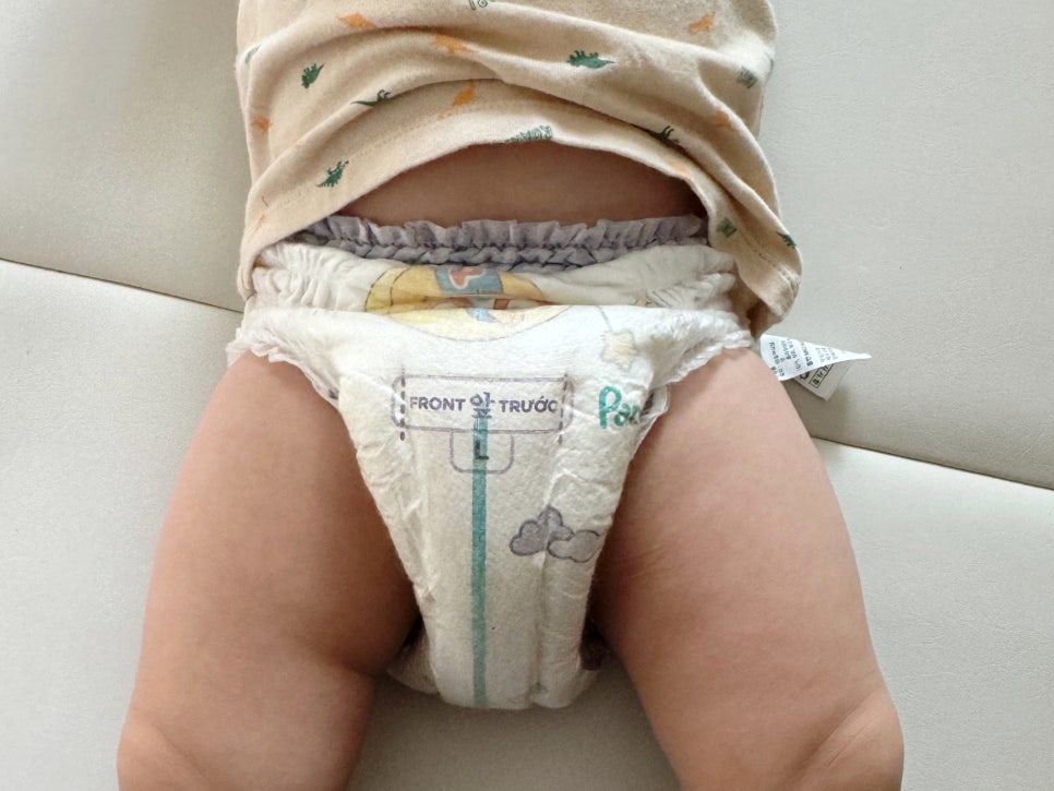 늘푸른글방 이미지