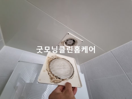 바이칼클린 이미지