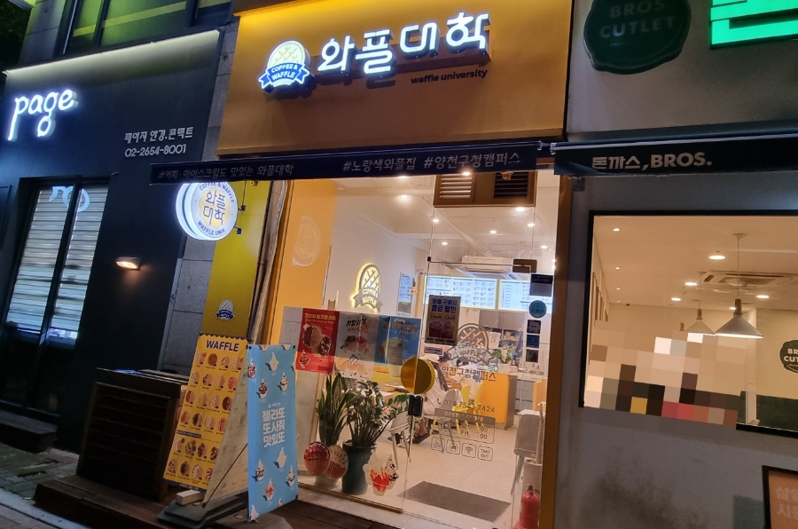 와플대학 양천구청캠퍼스 이미지
