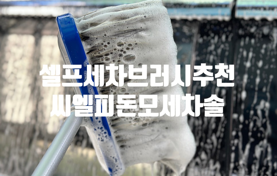 씨엘피 이미지