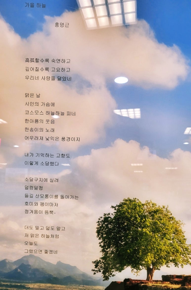 지산서점 이미지