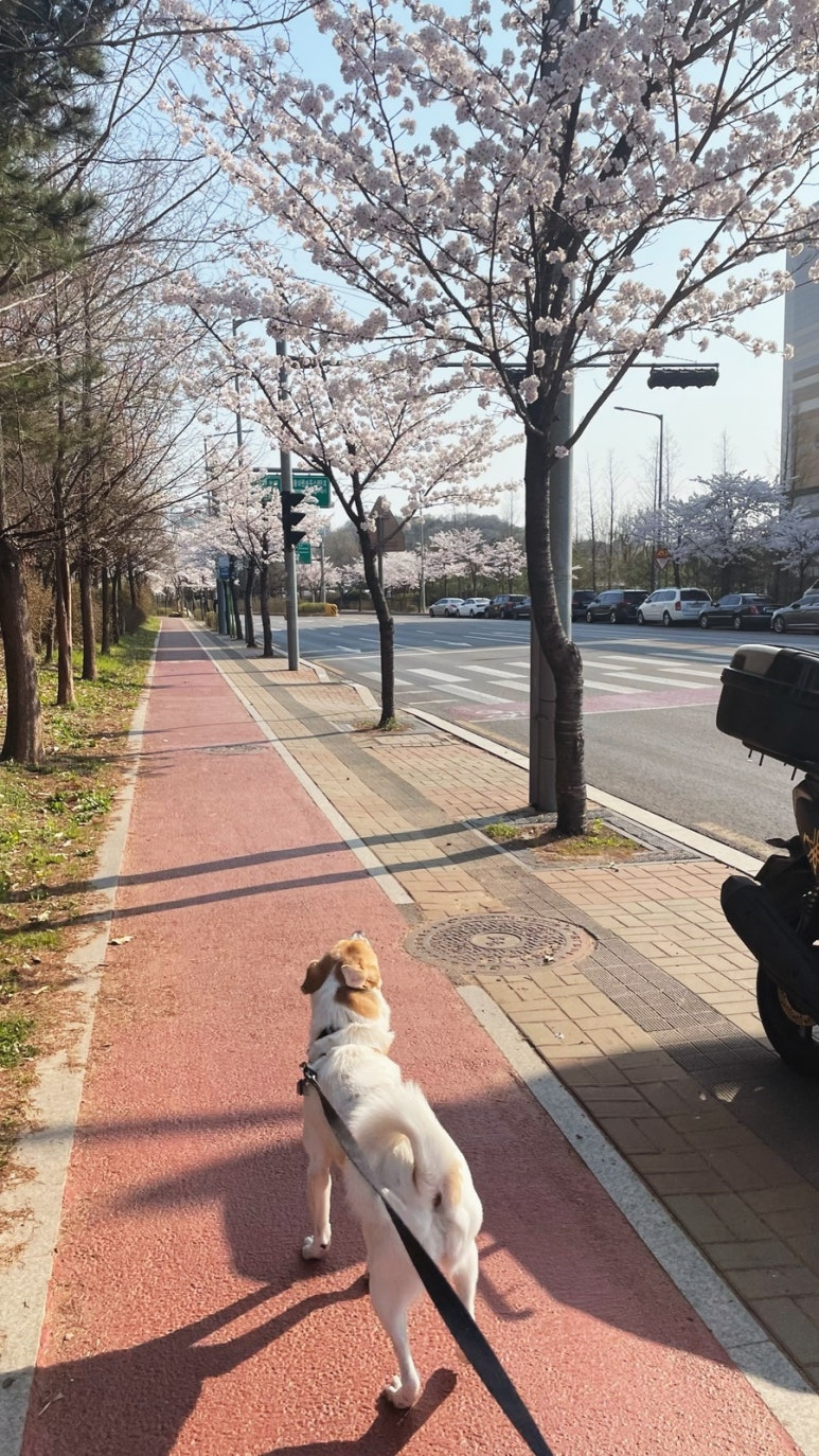 주식회사시소 이미지