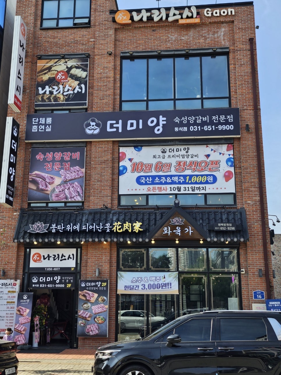 더미양 이미지
