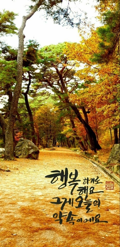 윤서네 칼국수 이미지