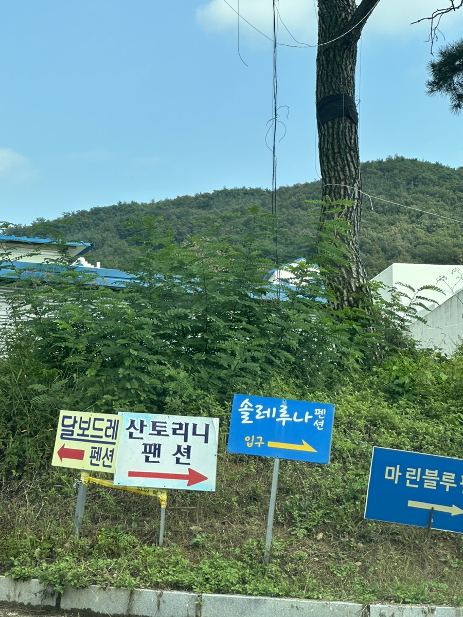 솔레루나 이미지