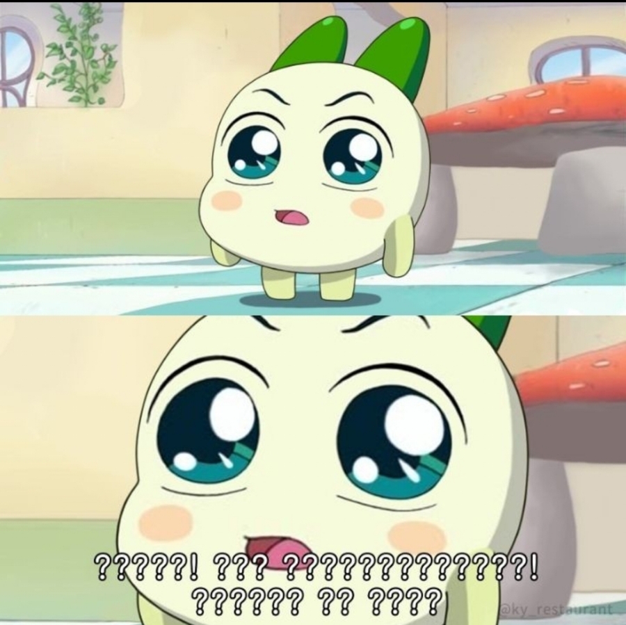 그레이핍플 이미지