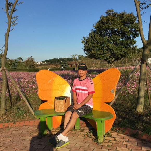 라이언의보물섬 이미지