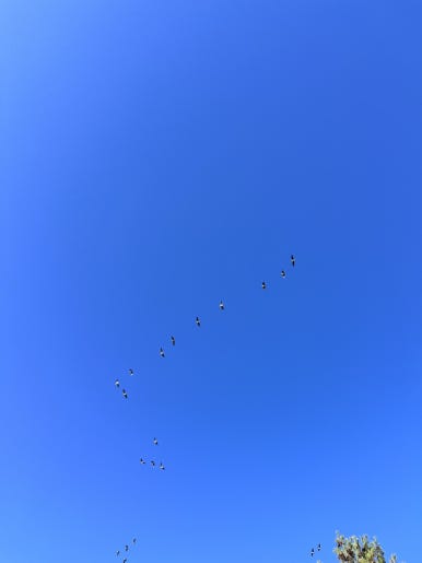 (주)알뜰 이미지