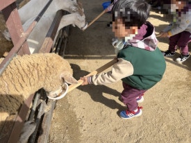 더플레이 이미지