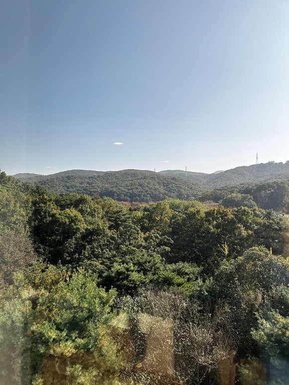 티엠비숯불닭바베큐 이미지