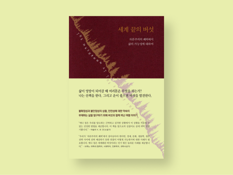 하웁트 이미지