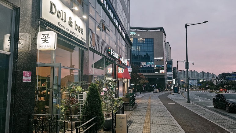 돌앤비 이미지