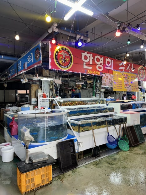 한영희수산횟집 이미지