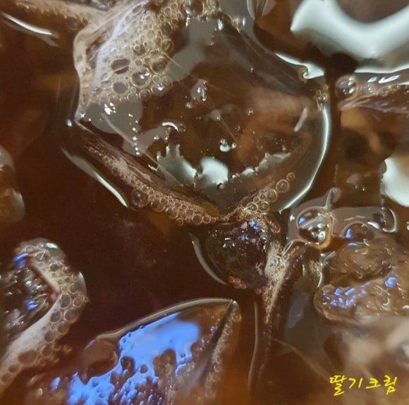 콜롬비아퍼펙토 동대문점 이미지