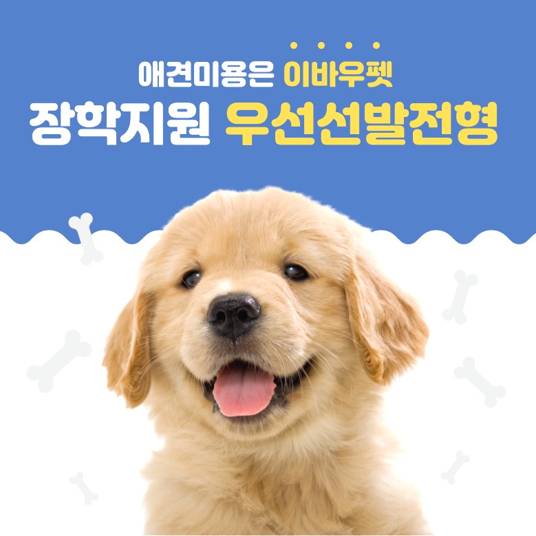 평택애견미용학원 이미지
