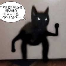 헤이달링 이미지
