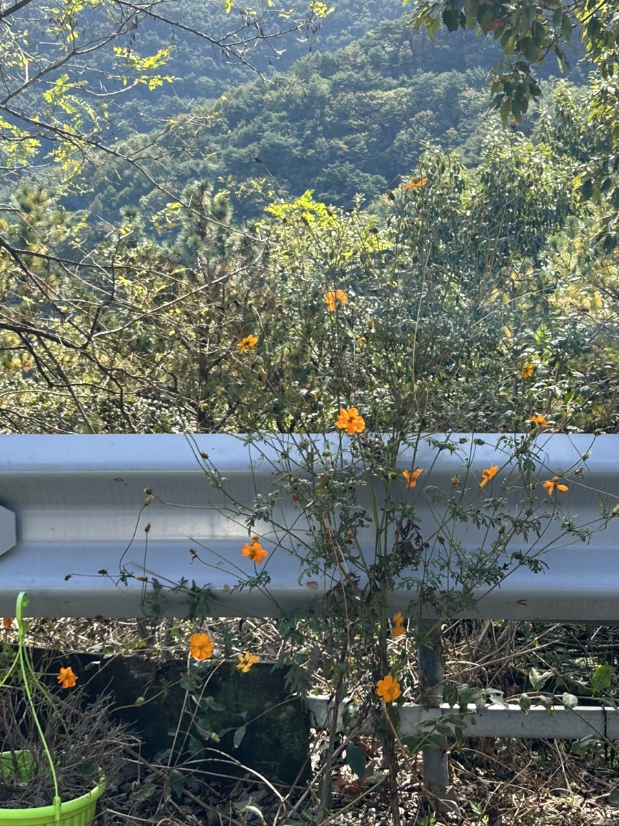 산휴게점 이미지