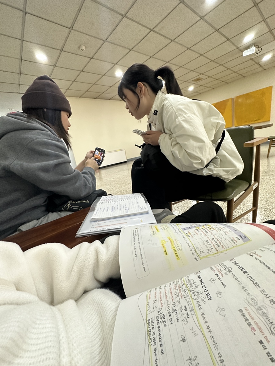 미친돼지 이미지