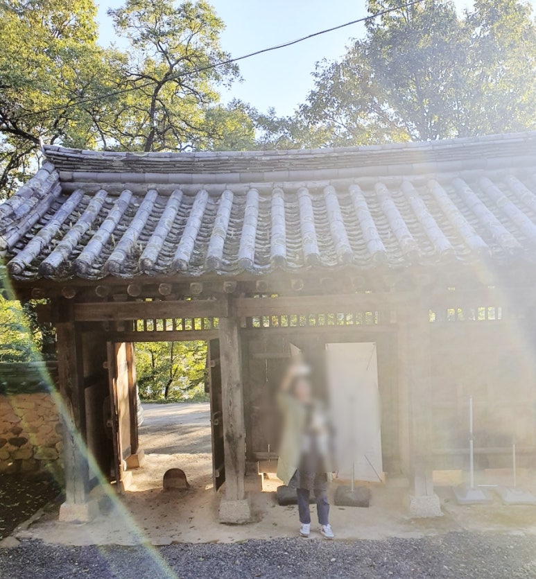 월영채 이미지