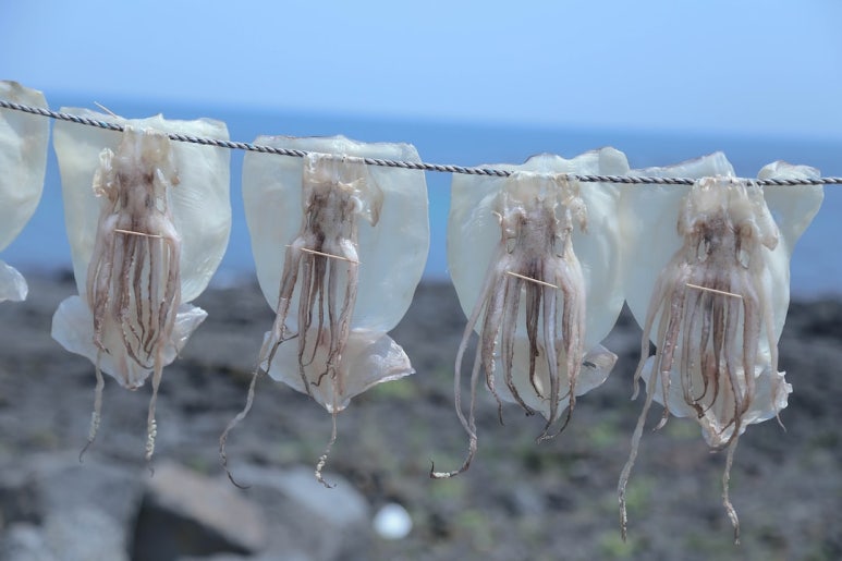 마른5 이미지