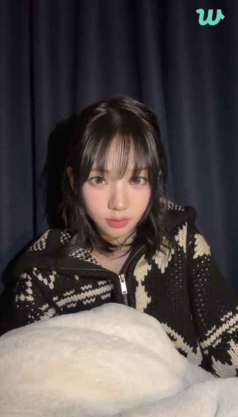 와이와이와이와이 이미지