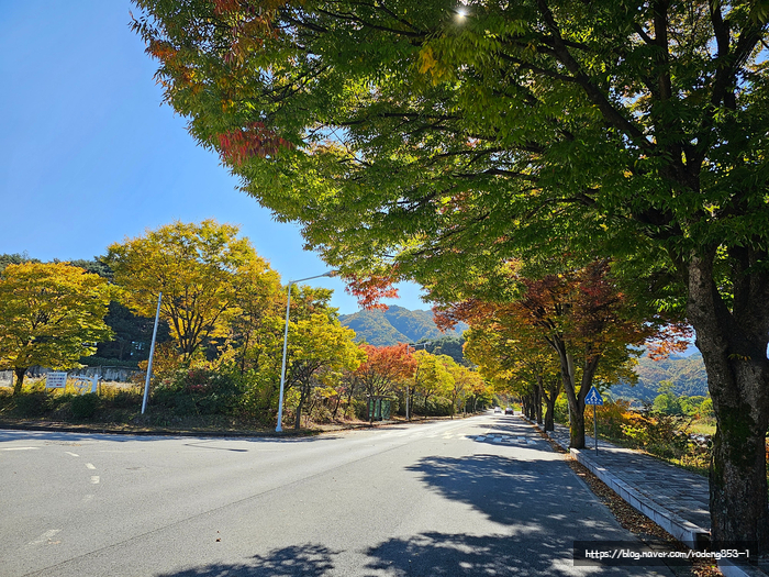 로뎅853-1 이미지