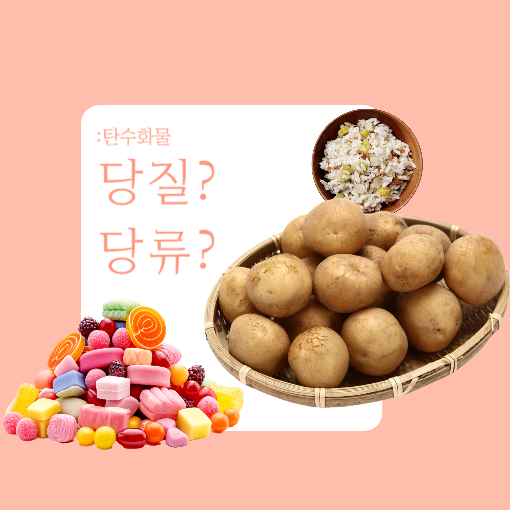 세희식품 이미지