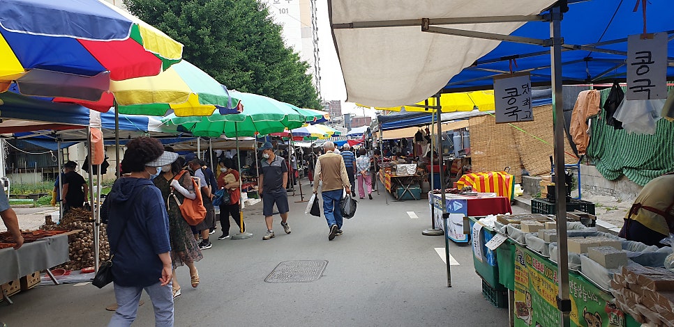 파주양봉 이미지