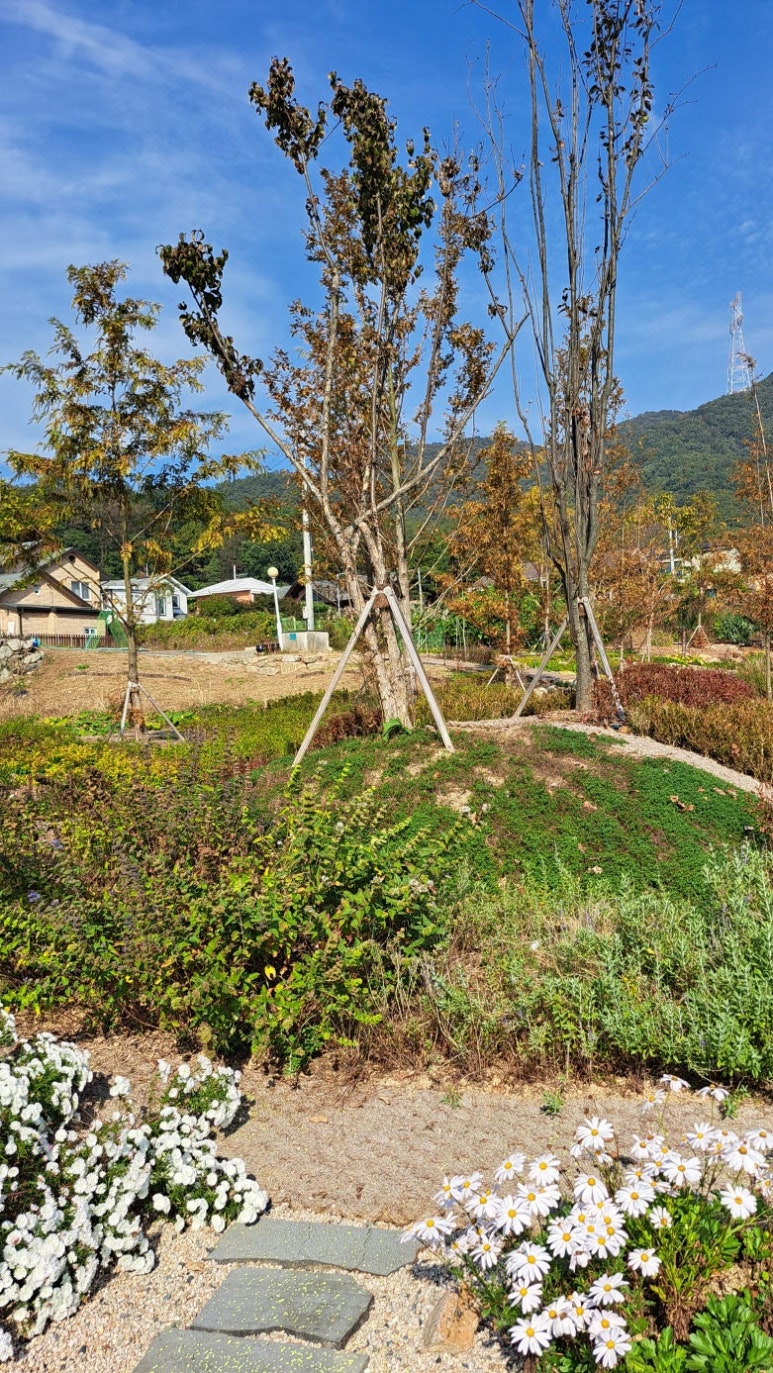 해강화원 이미지