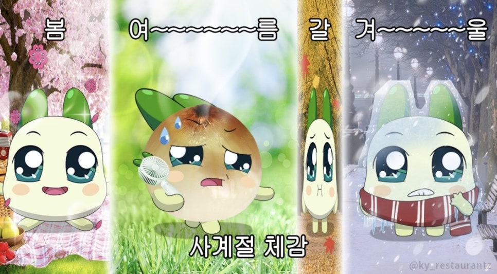 소소담 이미지