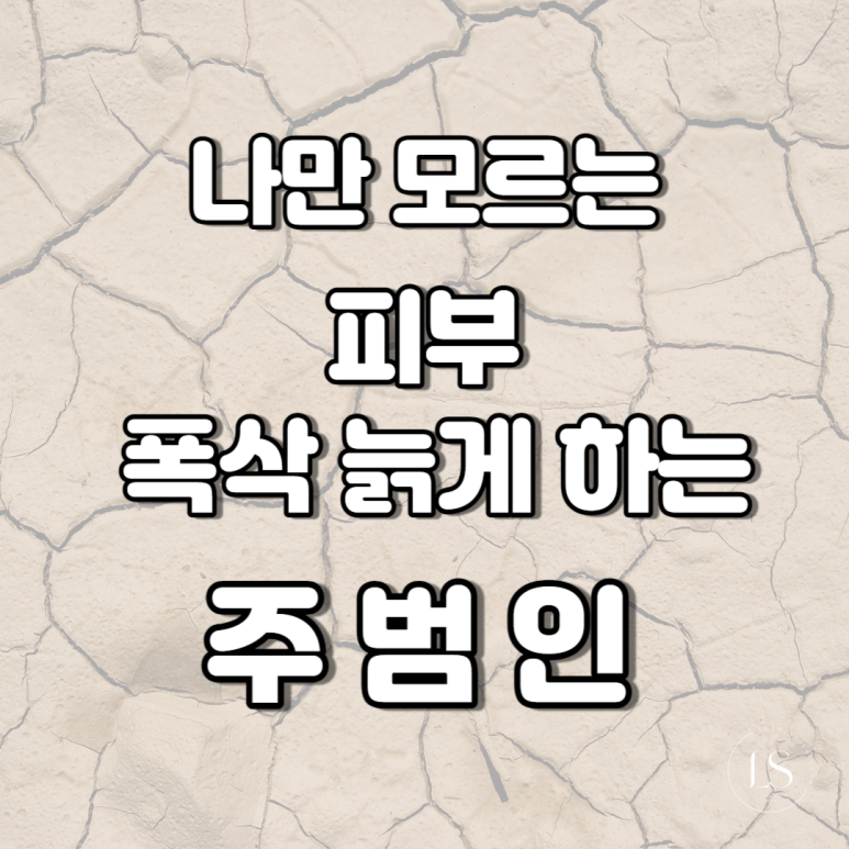 렛미인헤어미용실 이미지