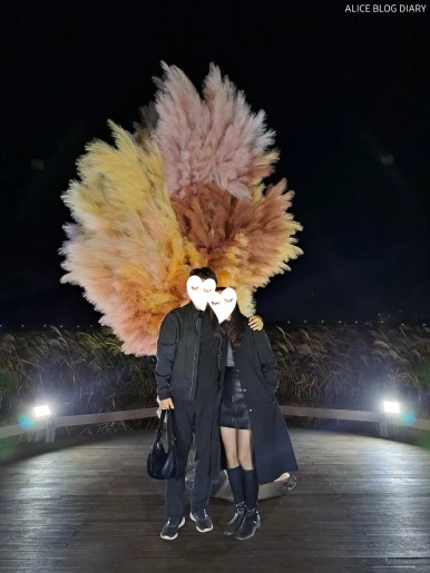 태화강라이브 이미지