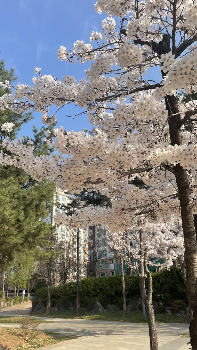주식회사시소 이미지