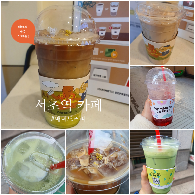 매머드익스프레스서초 이미지