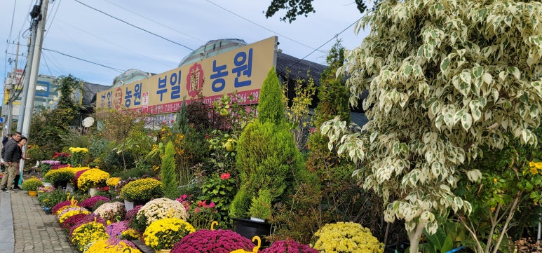 부일농원 이미지