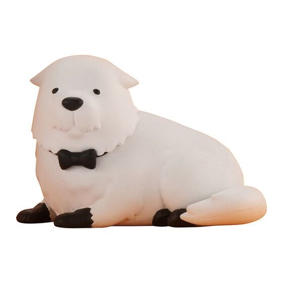토이패밀리 이미지