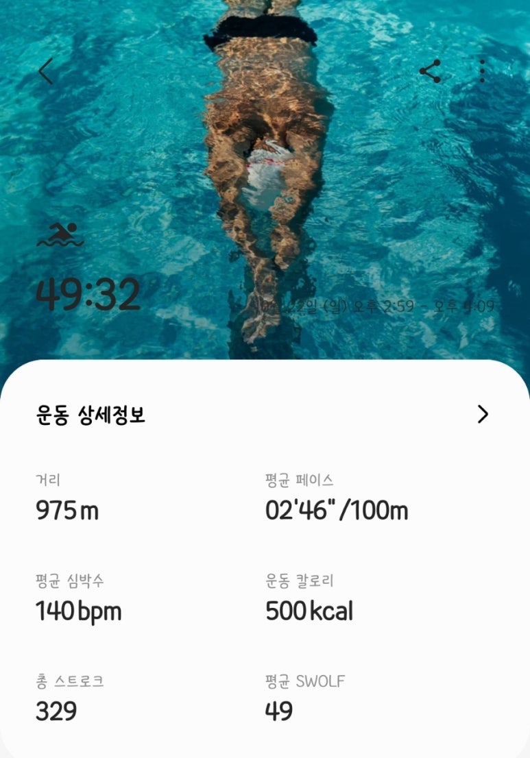 샐러디아 이미지
