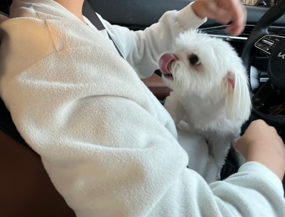 부엉이노래연습장 이미지