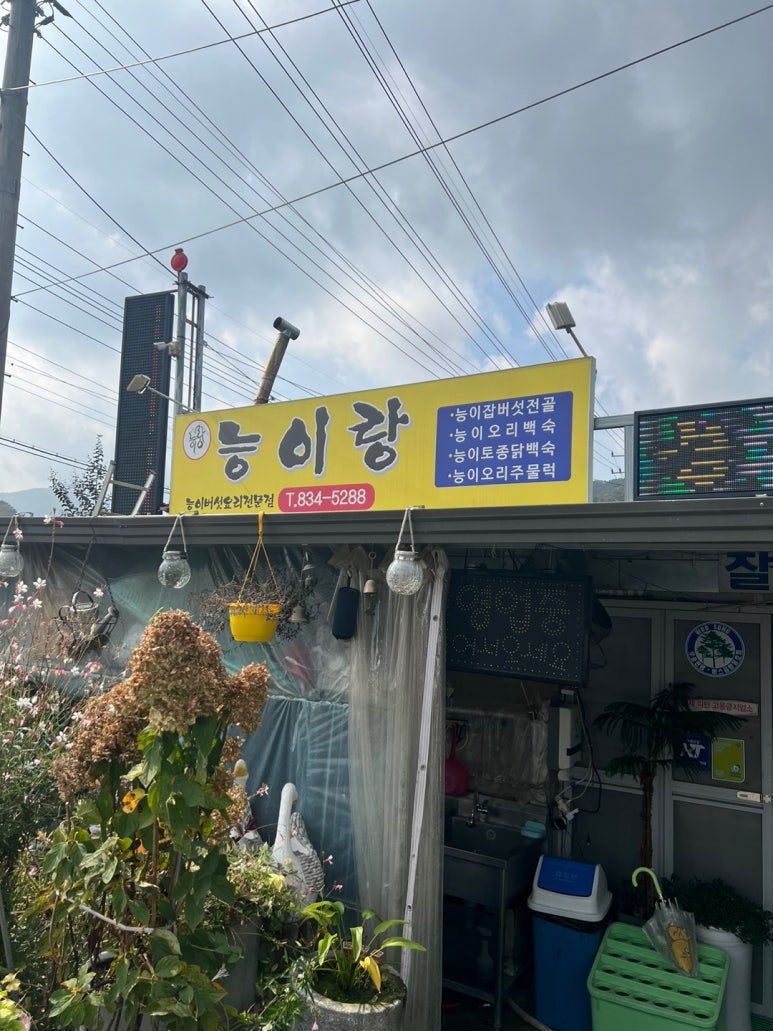 능이랑 이미지