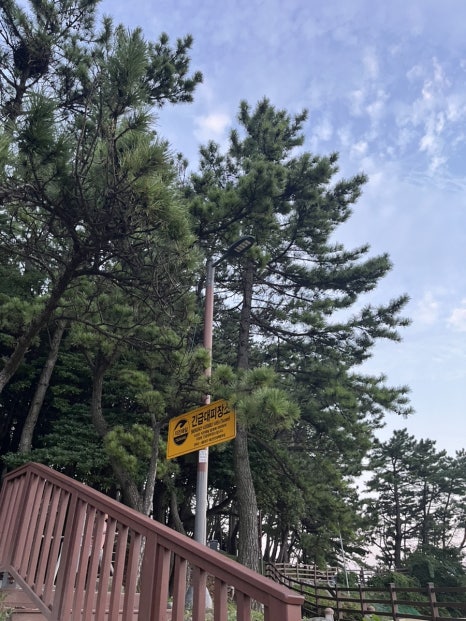 이디야커피 부산송정점 이미지