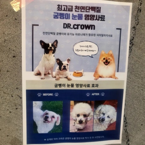 평택애견미용학원 이미지