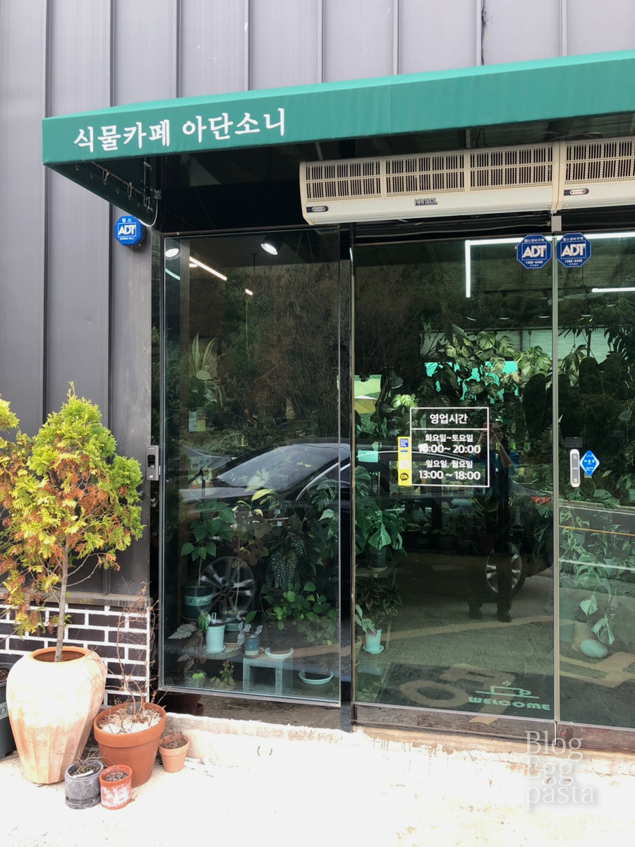 식물카페아단소니용황점 이미지