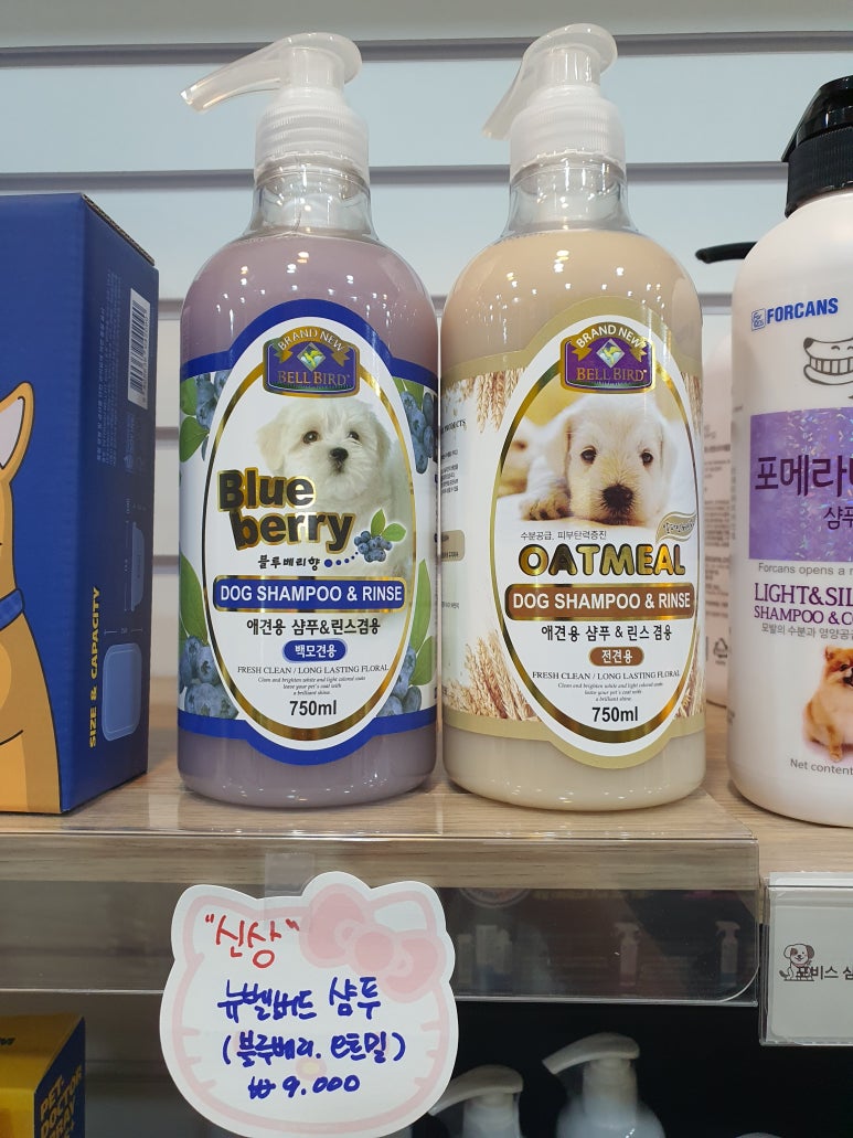 송하다방 이미지