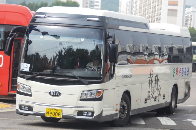 뉴신세계관광 이미지